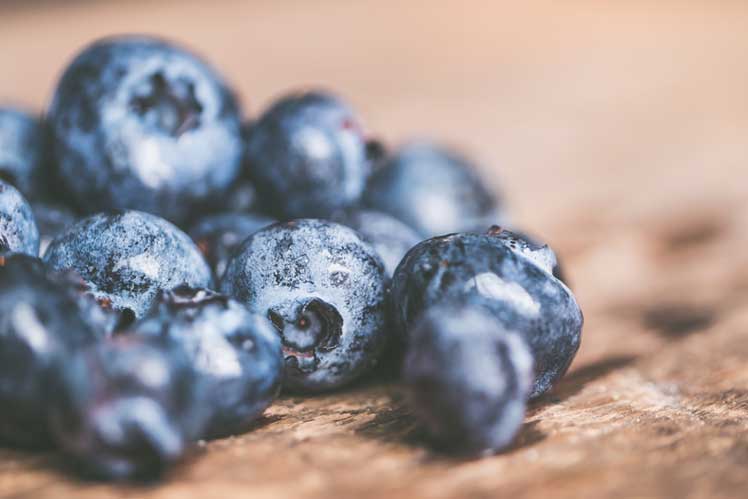 Manfaat blueberry untuk kesehatan
