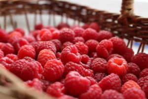 Manfaat buah raspberry untuk kesehatan