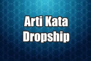 Arti Kata dropship