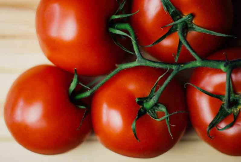 Cara Membuat Masker Tomat