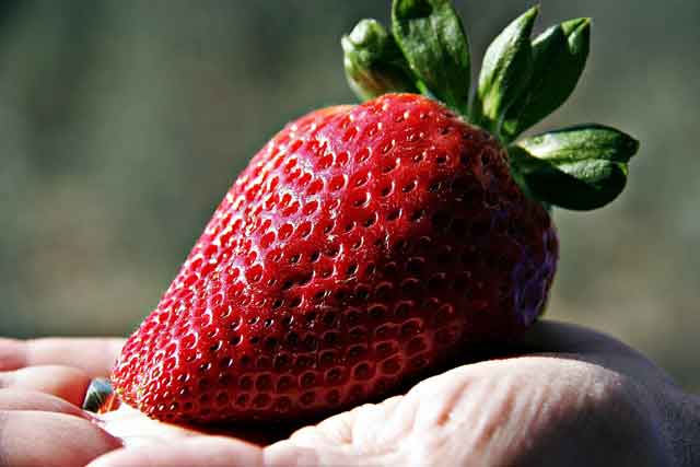 Manfaat Masker Strawberry 