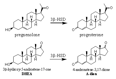 Skema enzim gambar 7