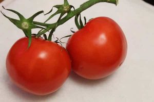 Efek samping masker tomat