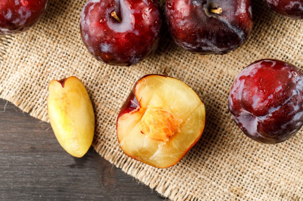 manfaat buah plum merah