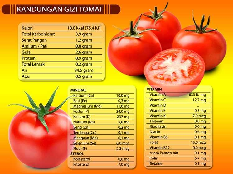 manfaat tomat untuk kesehatan