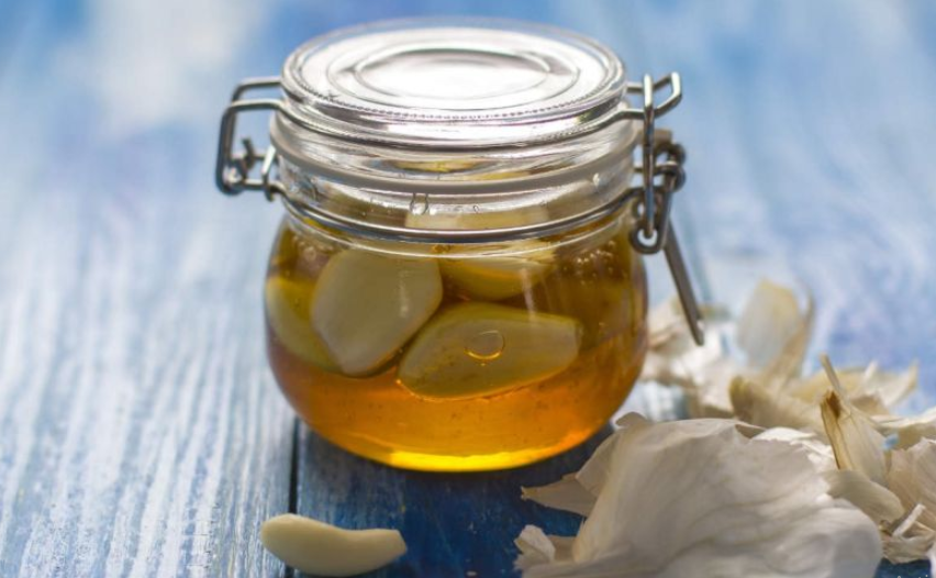 manfaat bawang putih dan madu