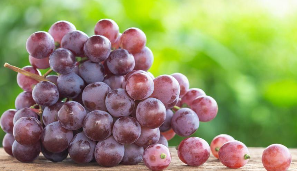 manfaat buah anggur merah