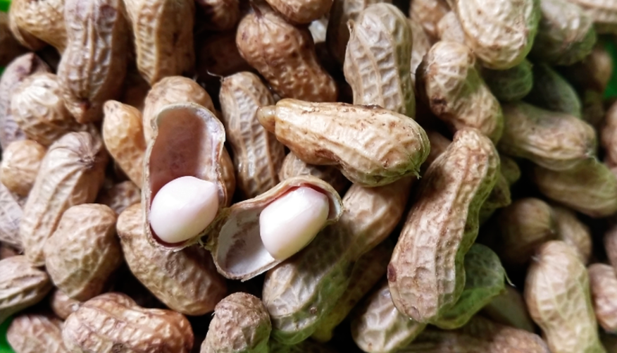 manfaat kacang tanah rebus