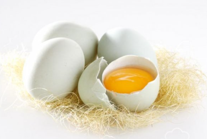 manfaat kuning telur bebek