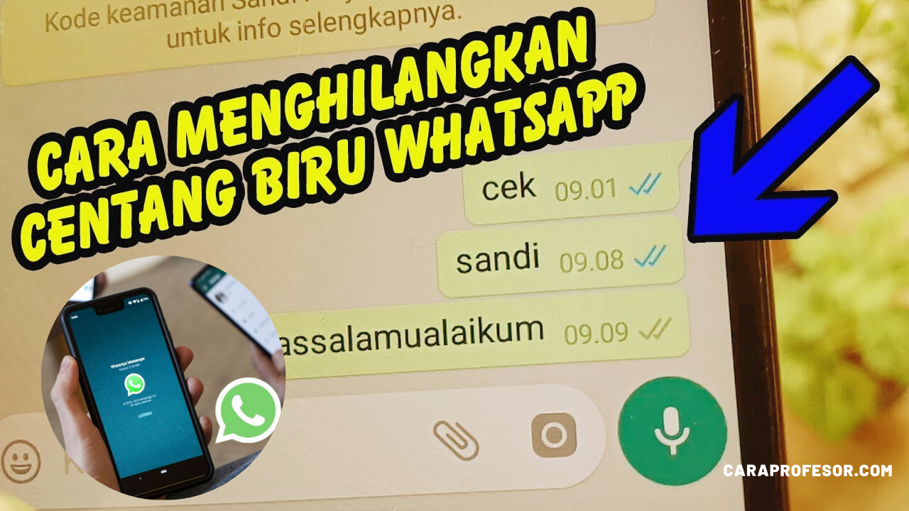 Cara Menghilangkan Centang Dua di Whatsapp
