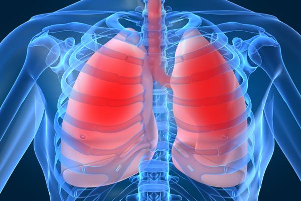 apakah fungsi paru paru