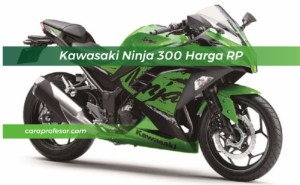 Kawasaki Ninja 300 Harga RP