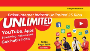 Paket Internet Indosat Unlimited 25 Ribu