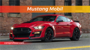 Mustang Mobil