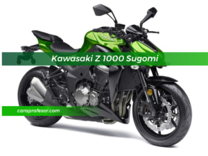 Kawasaki Z 1000 Sugomi