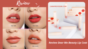 Review Dear Me Beauty Lip Coat