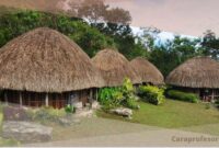 Rumah Adat Papua Sejarah dan Filosofi