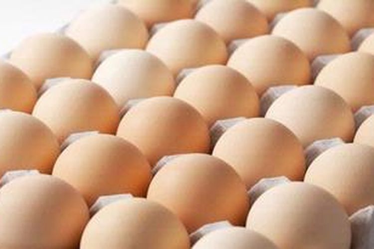 Telur Ayam Sebaiknya Dipanen Sehari