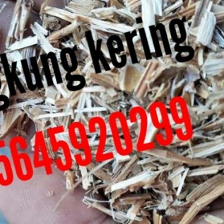 Jual Kangkung Kering/Rendeng Kangkung | Pasar Lelang