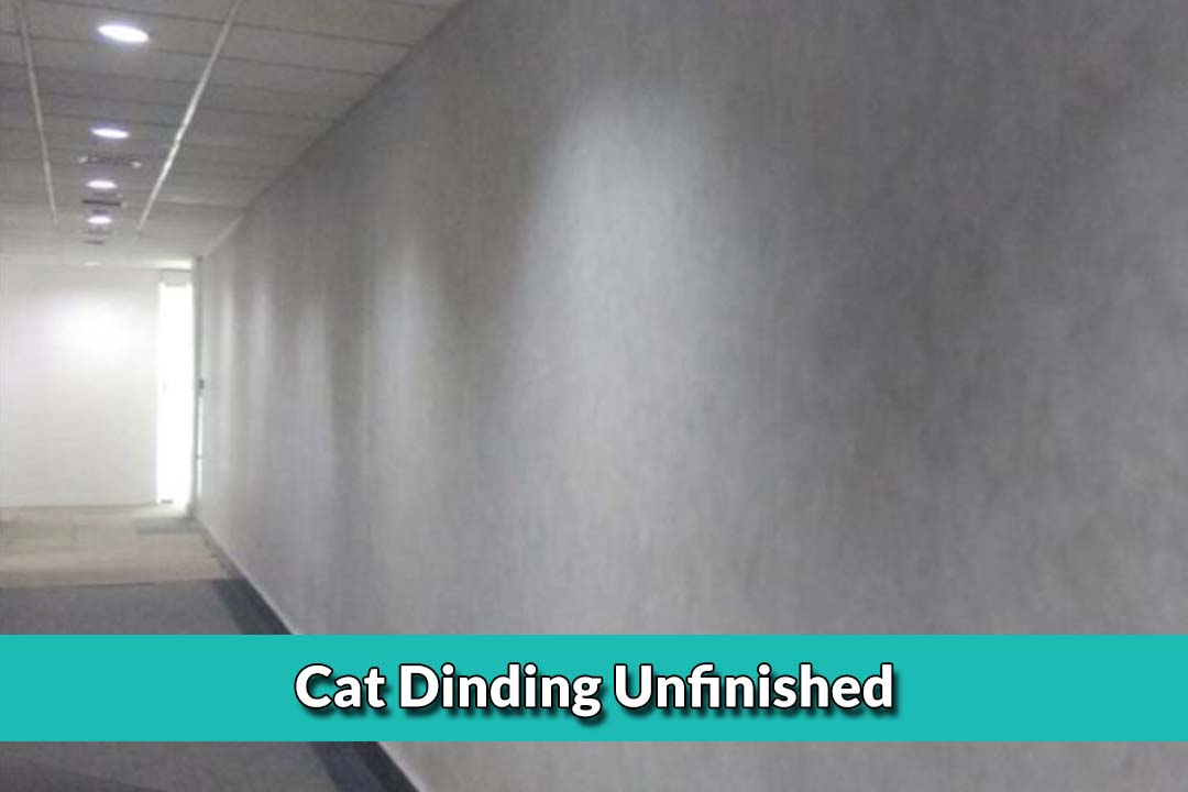 Cat Dinding Unfinished