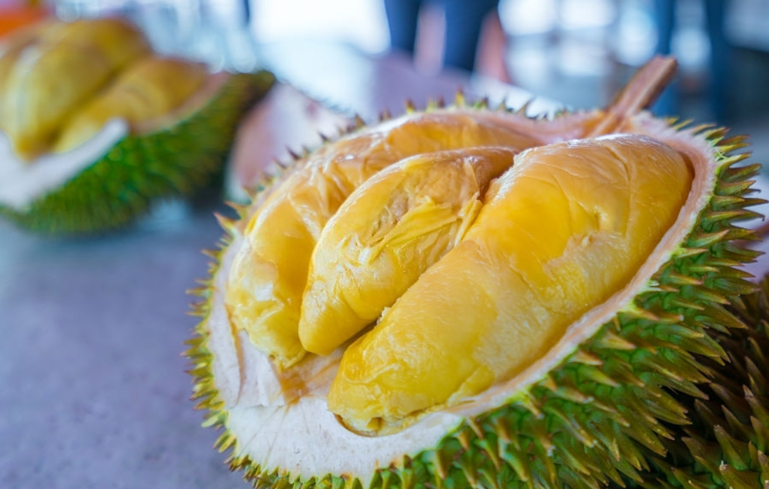 Kekurangan Durian Bawor
