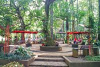 Hotel Ramah Anak Dekat Taman Hutan Raya Juanda: Liburan Keluarga yang Menyenangkan